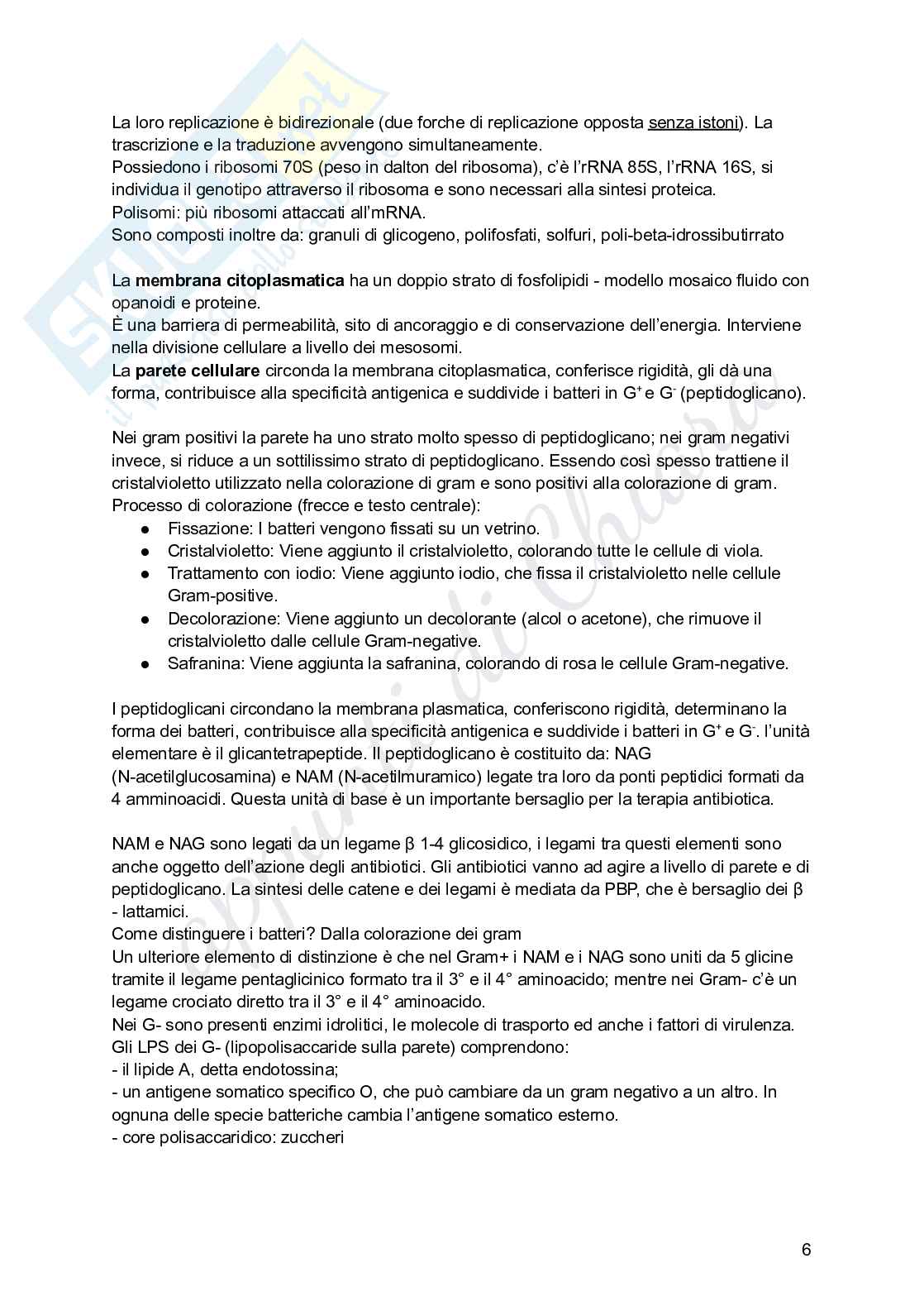 Microbiologia per infermieristica Pag. 6