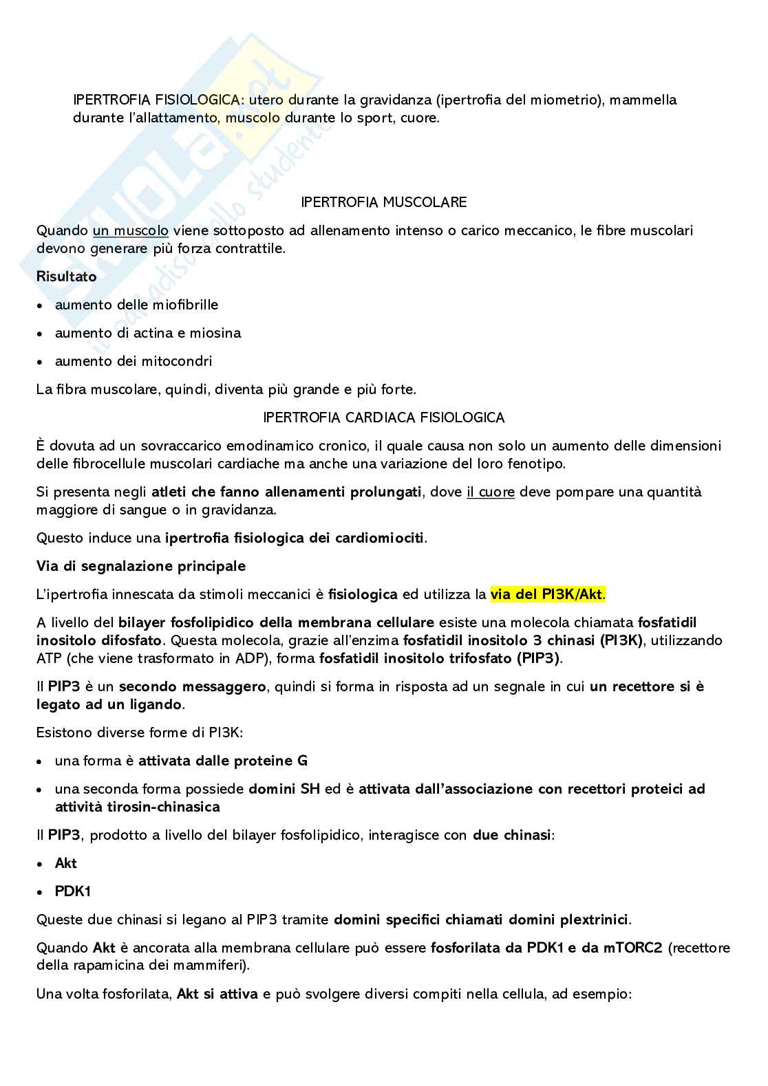 Adattamenti cellulari Pag. 2