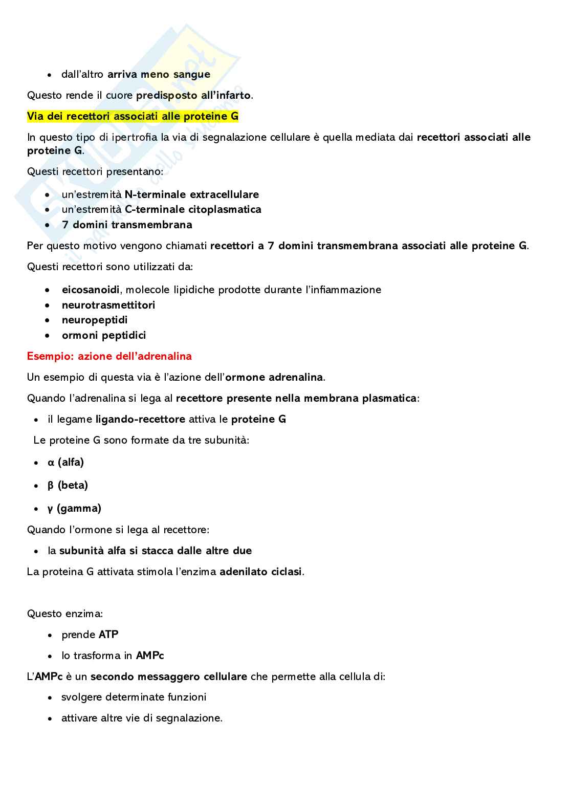 Adattamenti cellulari Pag. 6