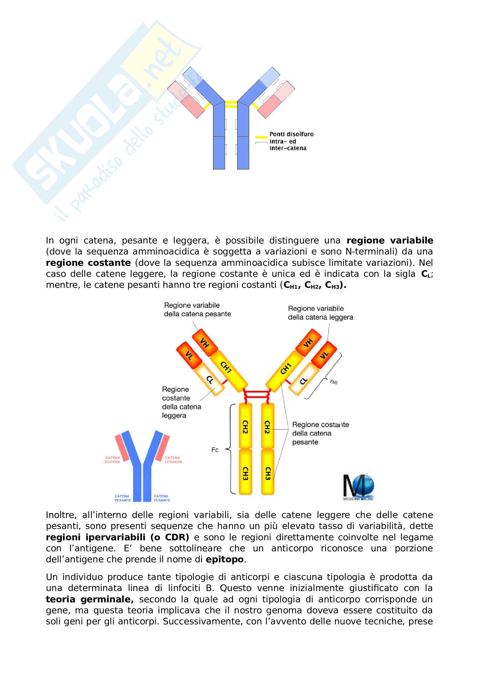 7 b.Anticorpi monoclonali: generalita' struttura anticorpi; tecnica dell'ibridoma; isolamento ibridoma; a. Monoclonali chimerici e umanizzati; ; a. Monoclonali umani; tecniche di produzione a. Monoclonali Pag. 2