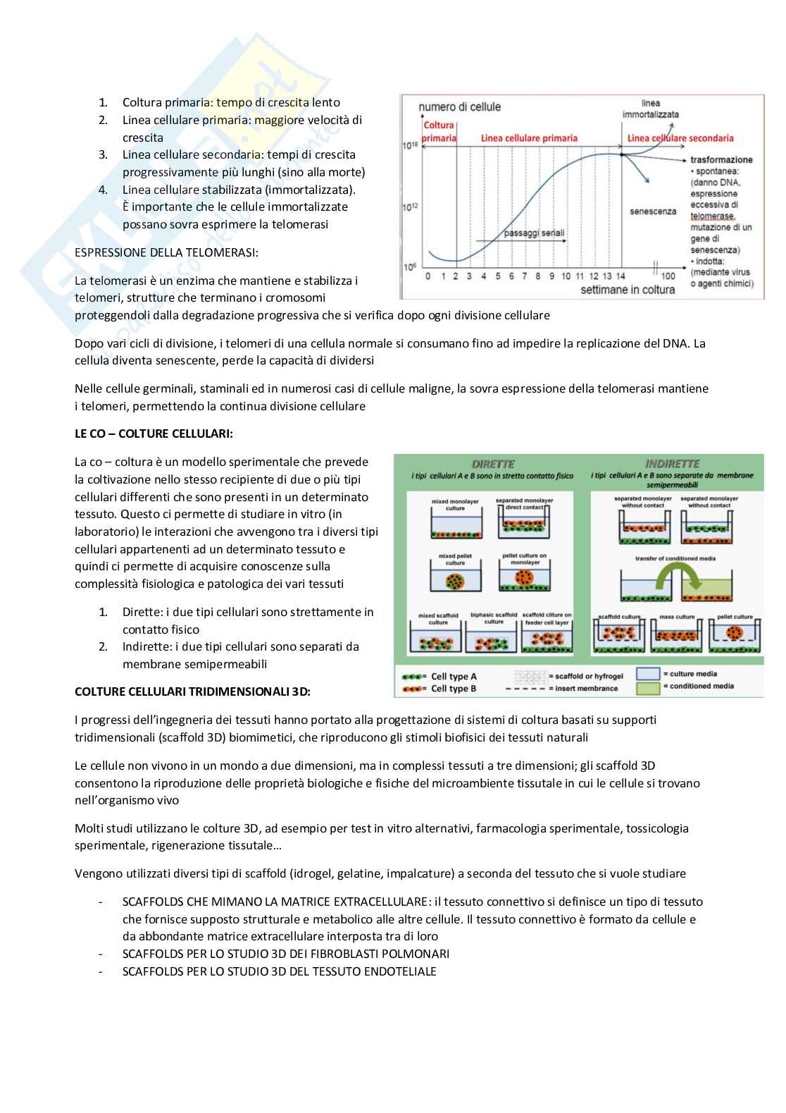 Appunti Biologia cellulare Pag. 26