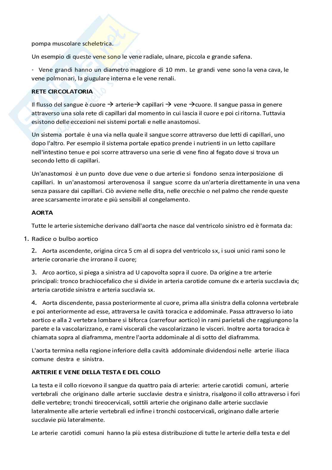 Appunti Anatomia umana Pag. 41