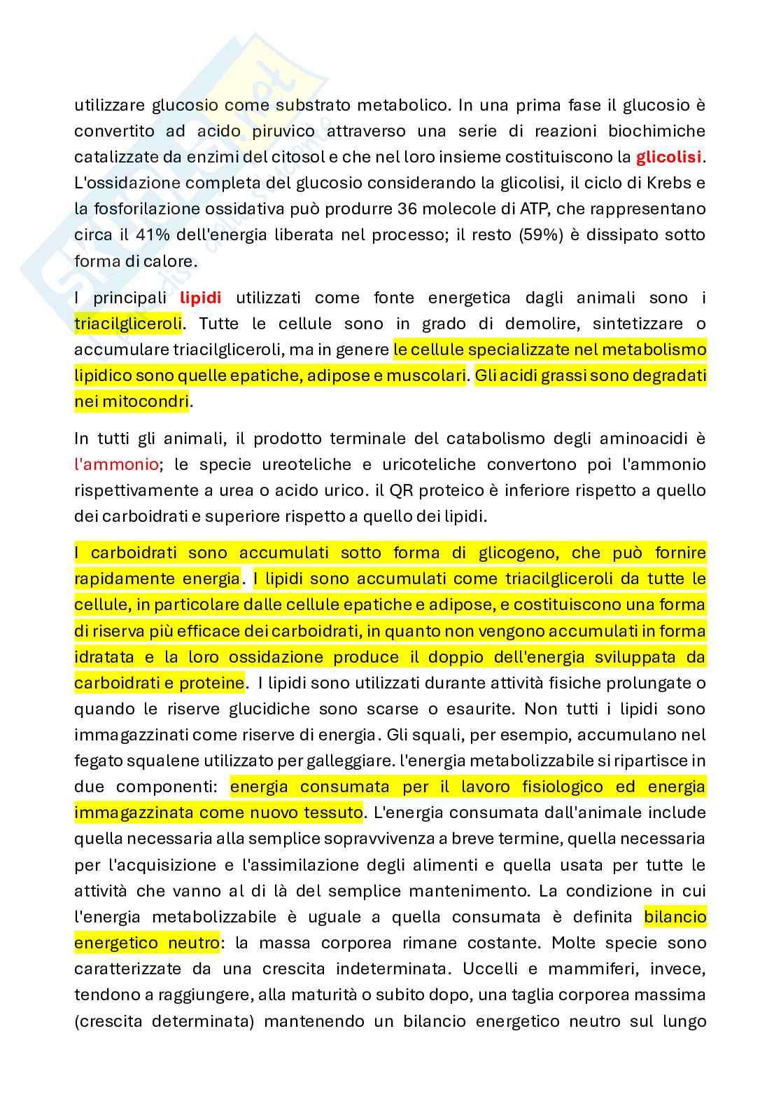 Appunti di Fisiologia animale con laboratorio Pag. 26