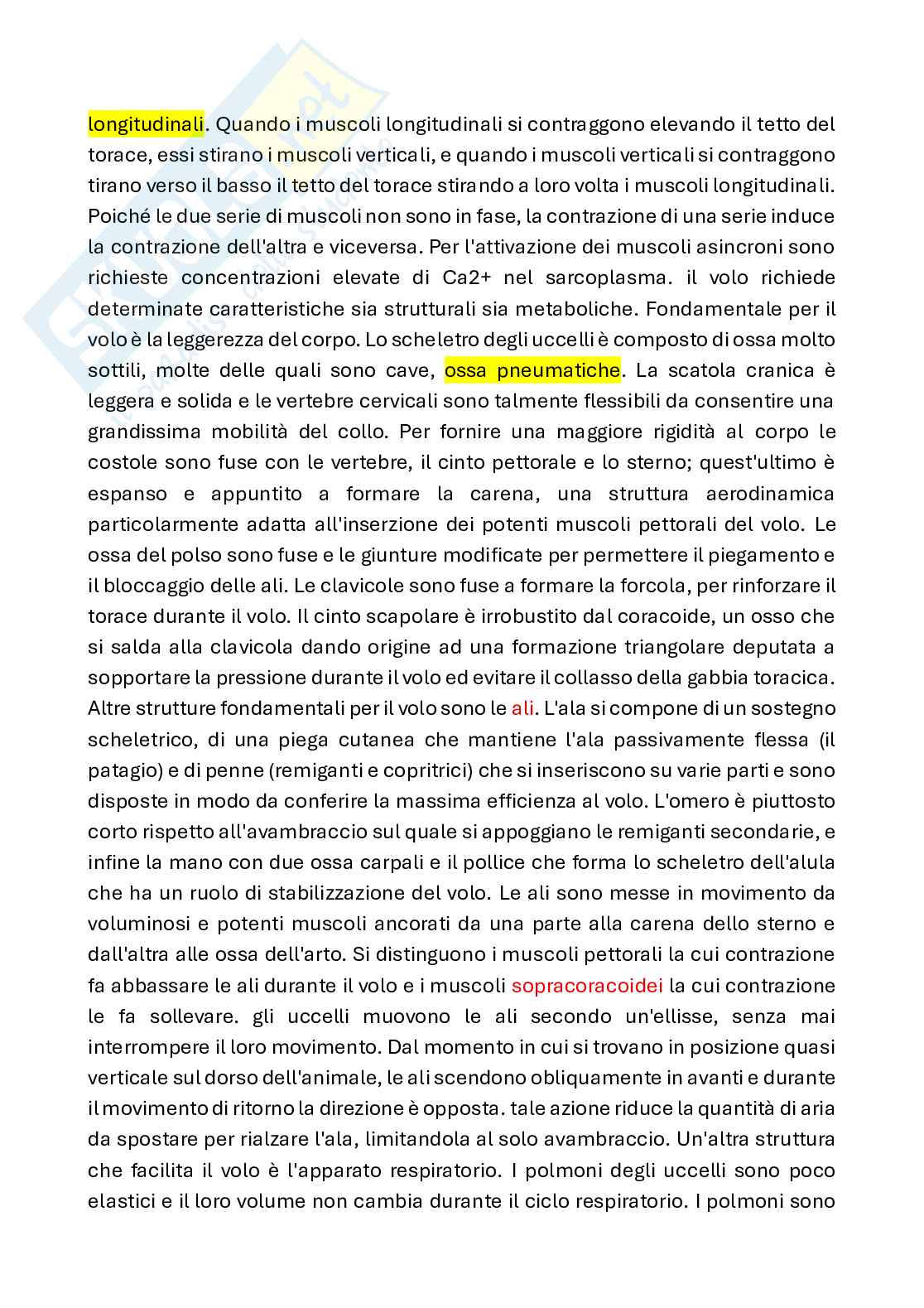 Appunti di Fisiologia animale con laboratorio Pag. 41