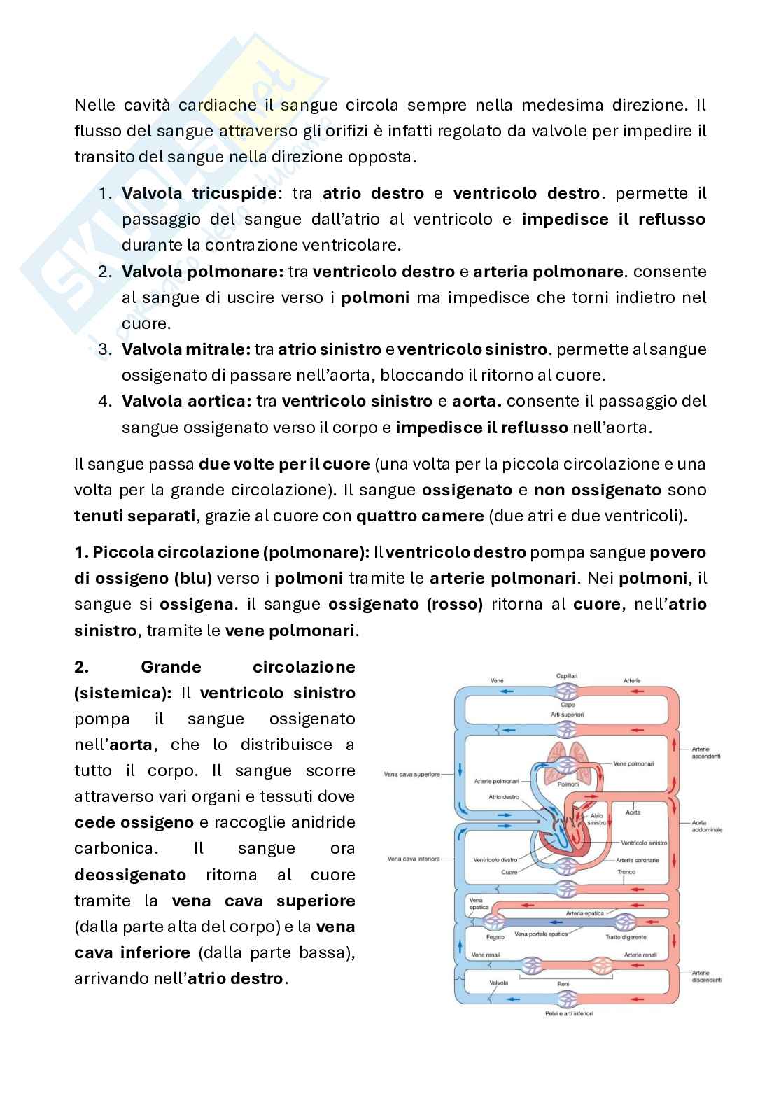 Appunti di Fisiologia animale con laboratorio Pag. 51