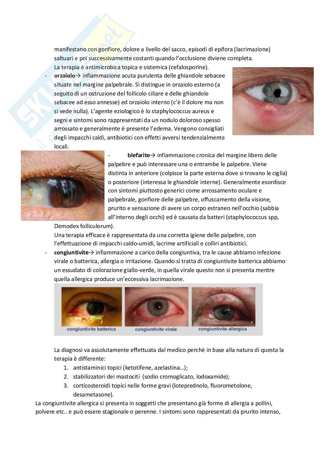 Esame di Farmacoterapia 1 - parte 4 Pag. 2