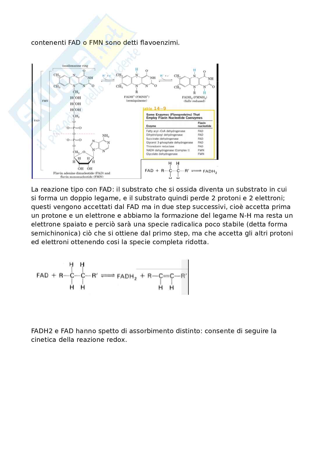 Biochimica Pag. 6