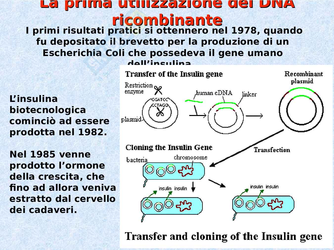 DNA struttura e replicazione Pag. 81