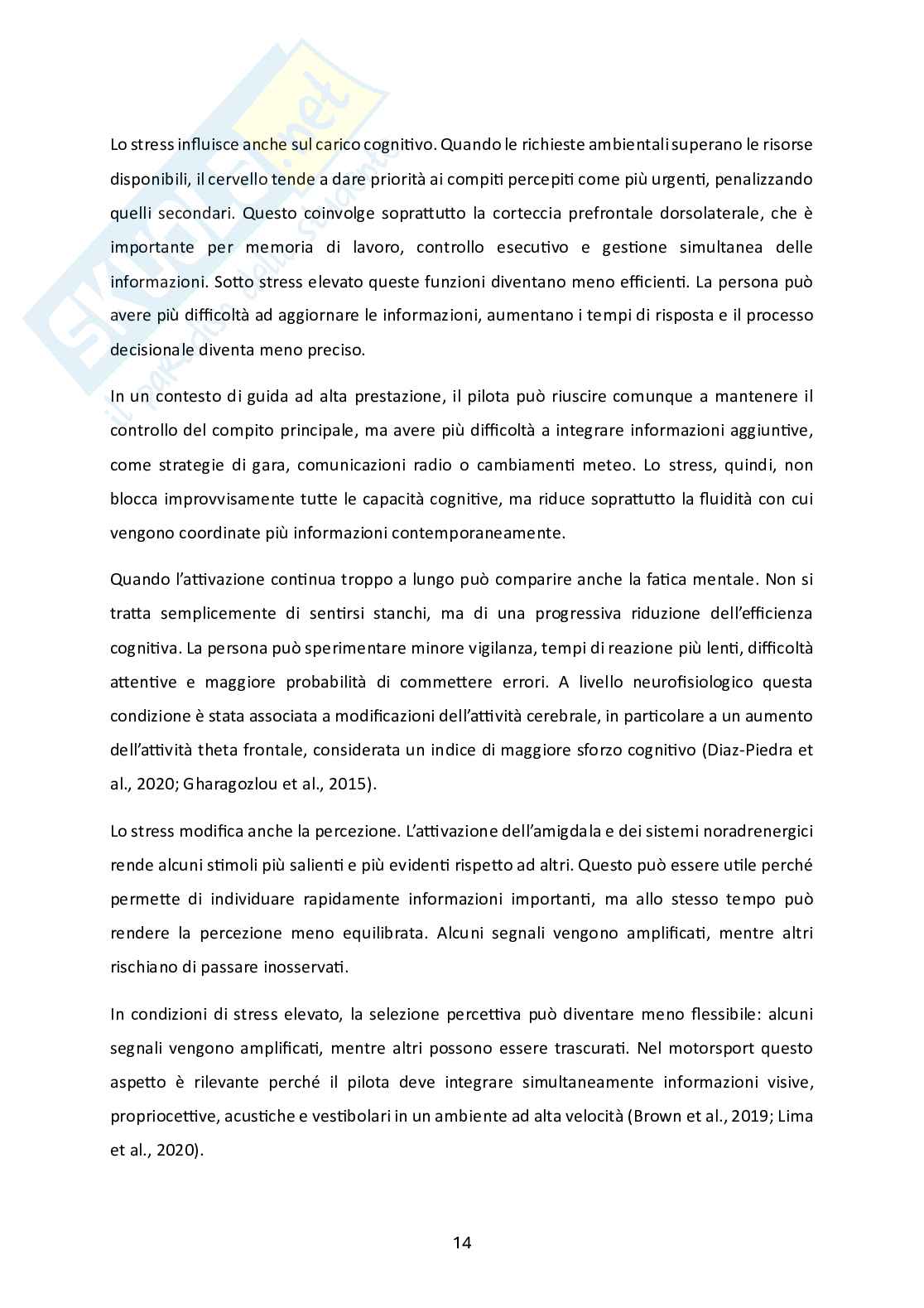 Cervello, stress e Intelligenza Artificiale: una prospettiva neuroscientifica sulla performance nei piloti di Formula 1 Pag. 21