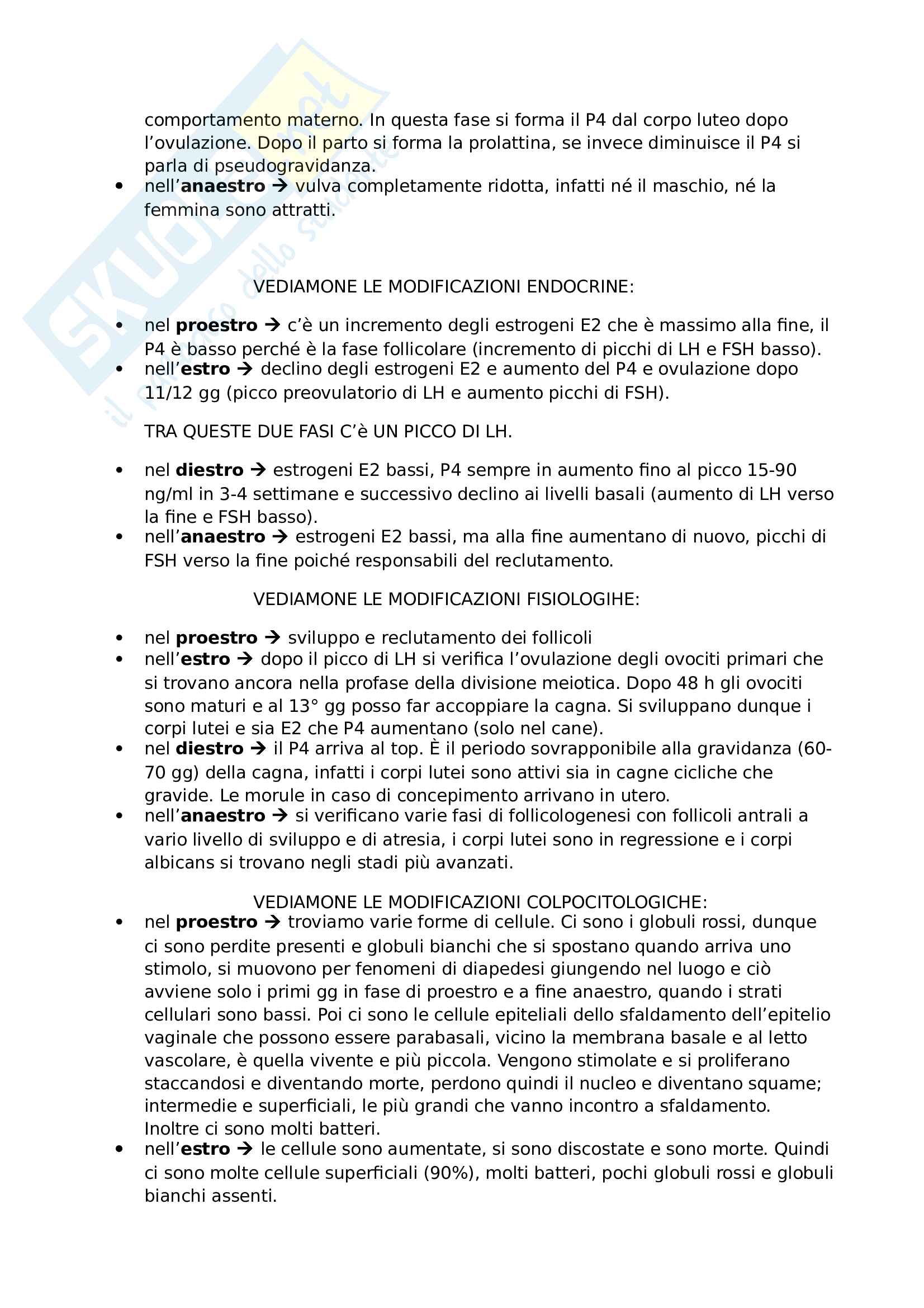 Asta Per Tenda A Soffitto In Acciaio Inox, 19 Mm, 2 O 3 Binari, Lunghezza Fino A 6 M, Con Staffe E Accessori, Effetto Metallo