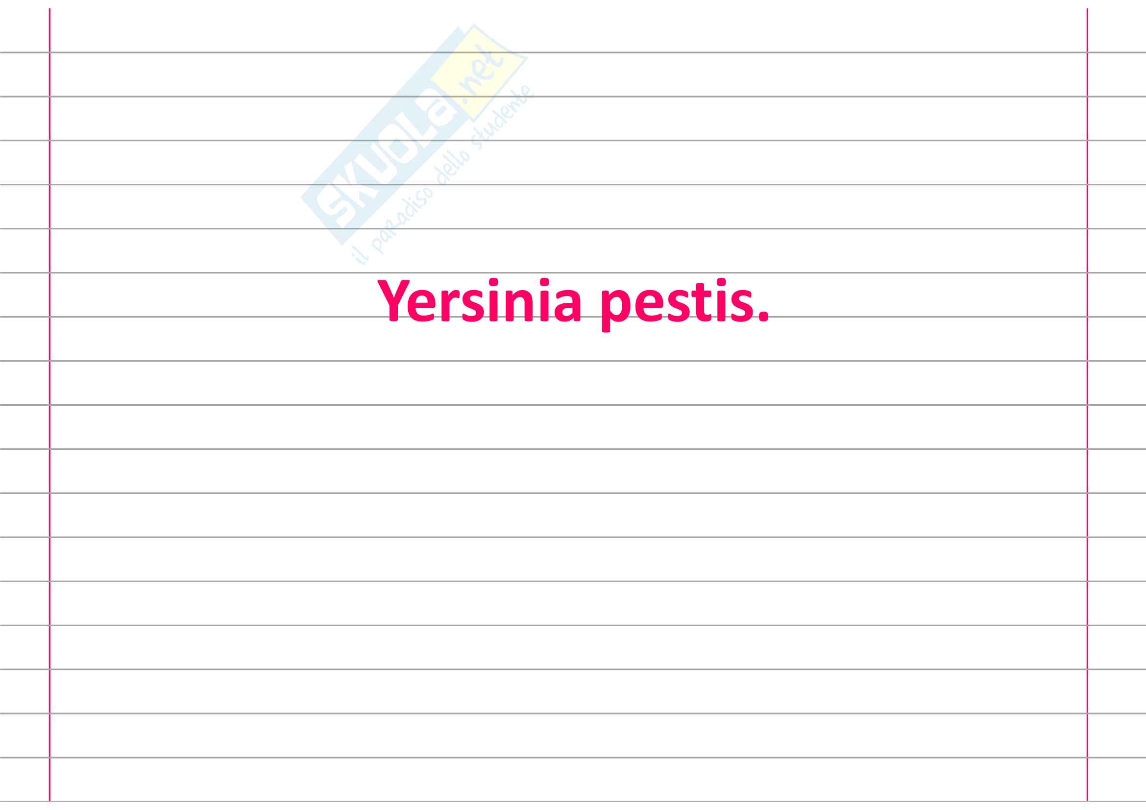 Yersinia pestis Pag. 1