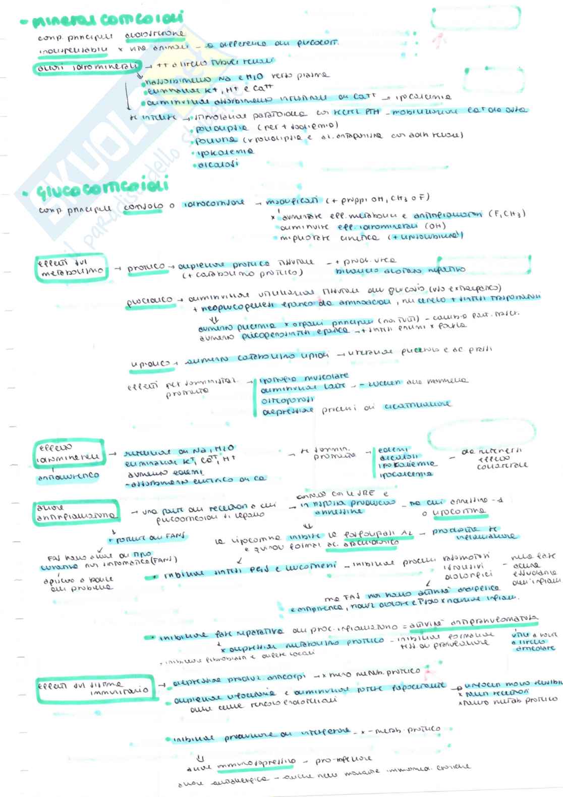 Farmacologia speciale veterinaria, parte 1 - Appunti schematizzati scritti a meno e colorati Pag. 16