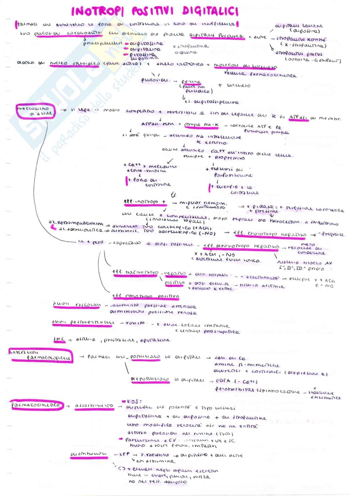 Farmacologia speciale veterinaria, parte 1 - Appunti schematizzati scritti a meno e colorati Pag. 2
