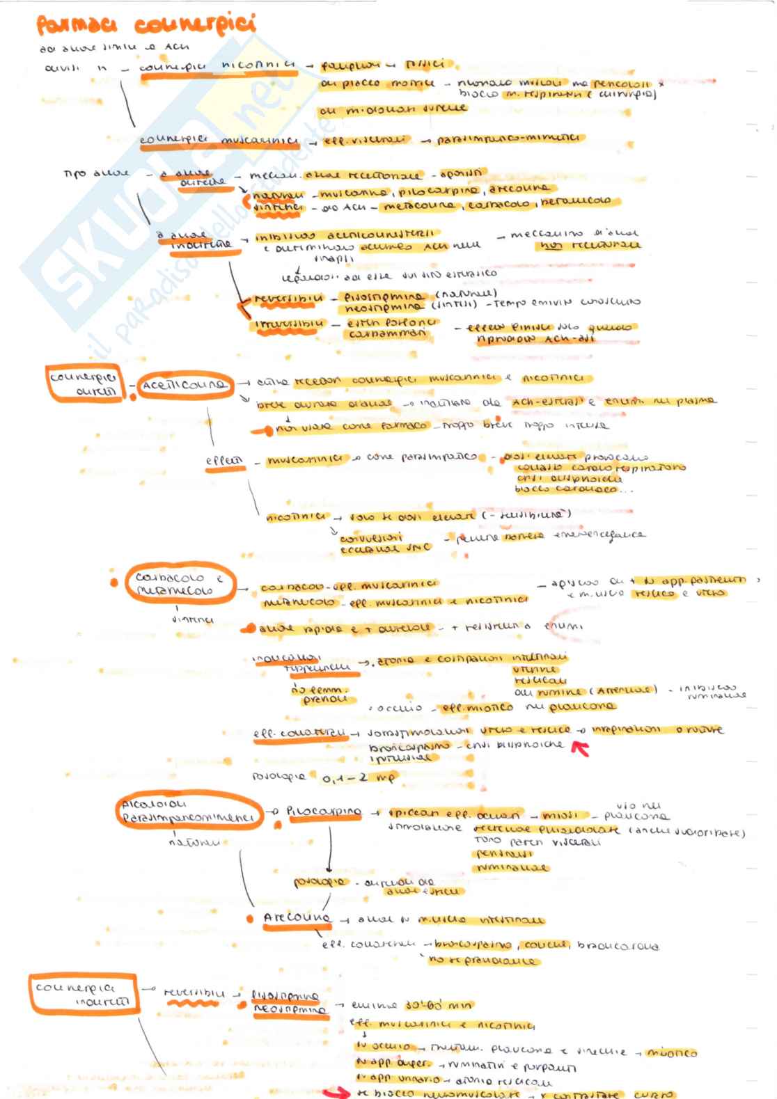 Farmacologia speciale veterinaria, parte 1 - Appunti schematizzati scritti a meno e colorati Pag. 21