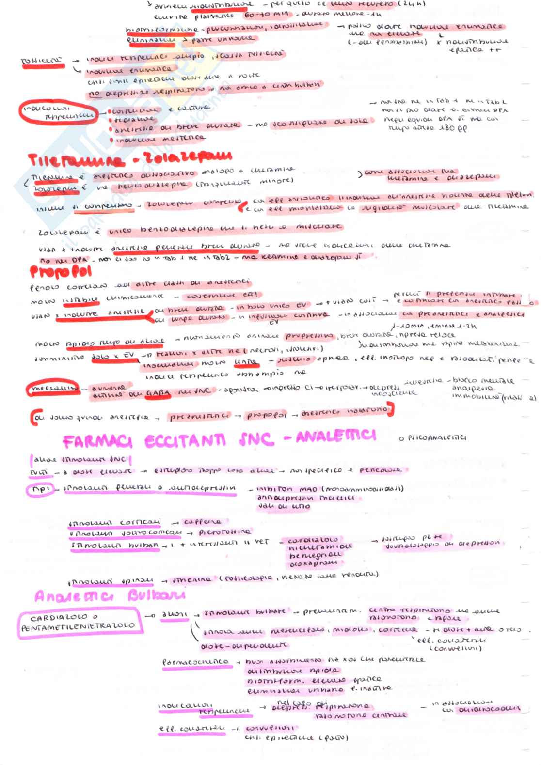 Farmacologia speciale veterinaria, parte 1 - Appunti schematizzati scritti a meno e colorati Pag. 31