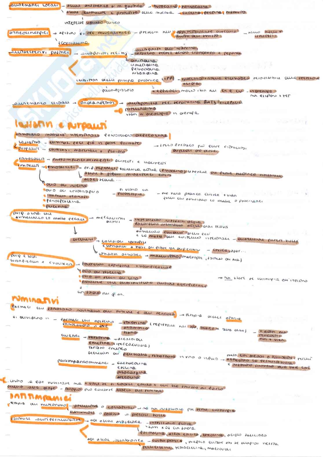 Farmacologia speciale veterinaria, parte 1 - Appunti schematizzati scritti a meno e colorati Pag. 36
