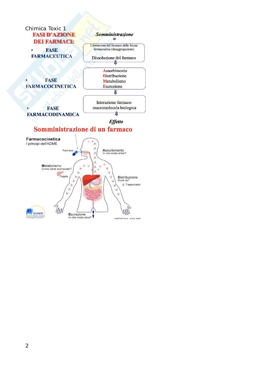 Appunti introduttivi di chimica farmaceutica 1 non completi Pag. 2