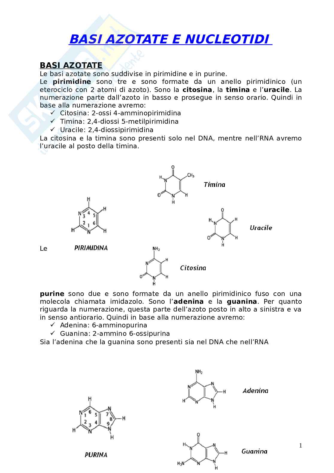 Appunti di Biologia Molecolare Pag. 1