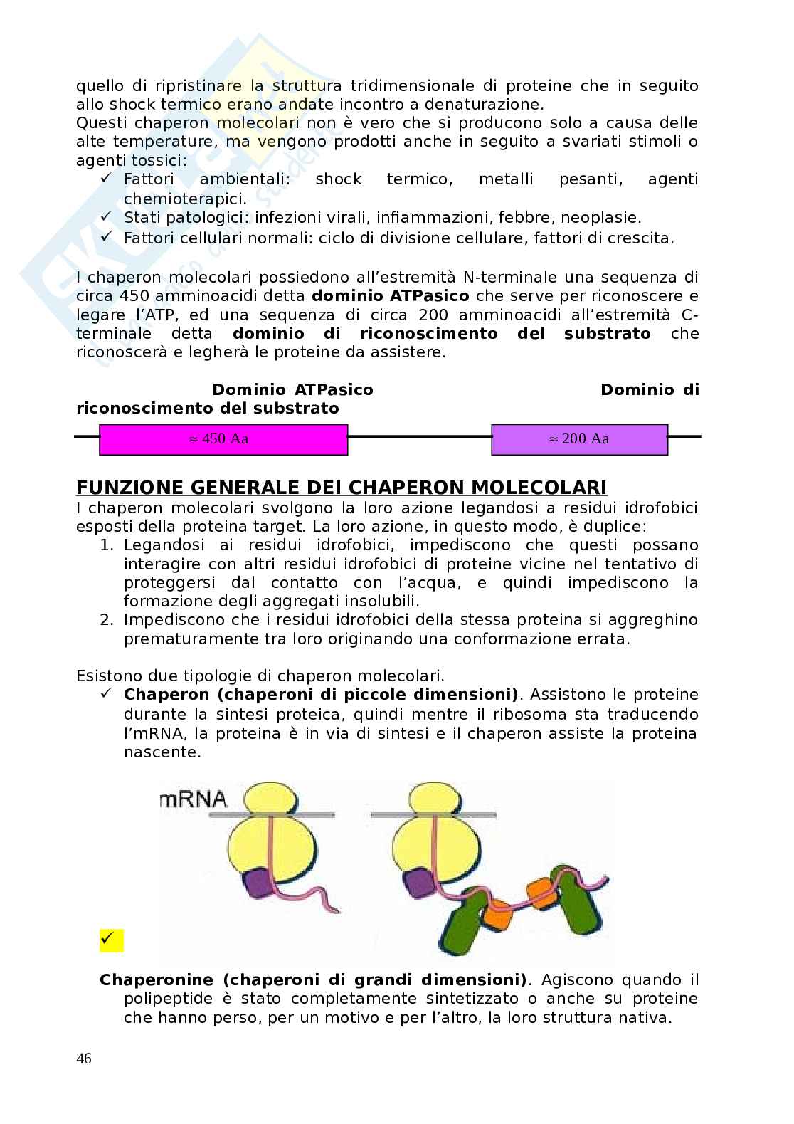 Appunti di Biologia Molecolare Pag. 46