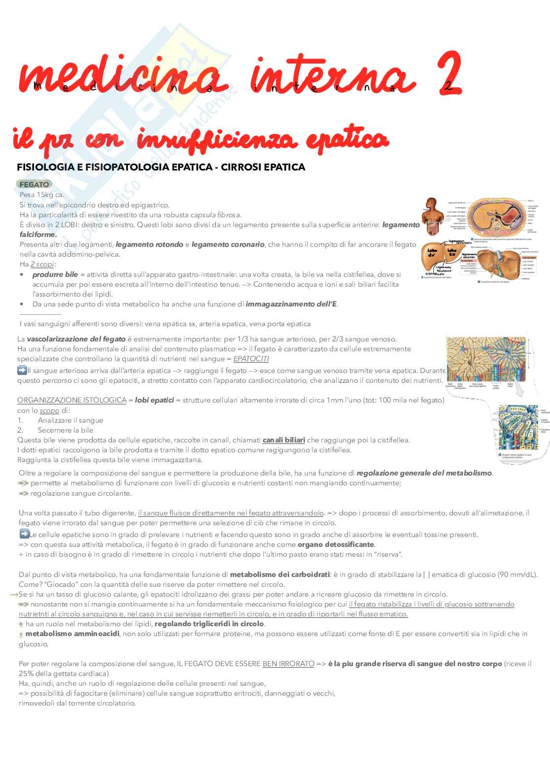 Medicina interna 2 - insufficienza epatica e respiratoria Pag. 1
