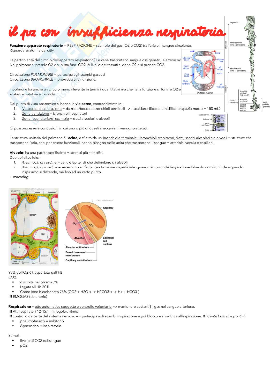 Medicina interna 2 - insufficienza epatica e respiratoria Pag. 16