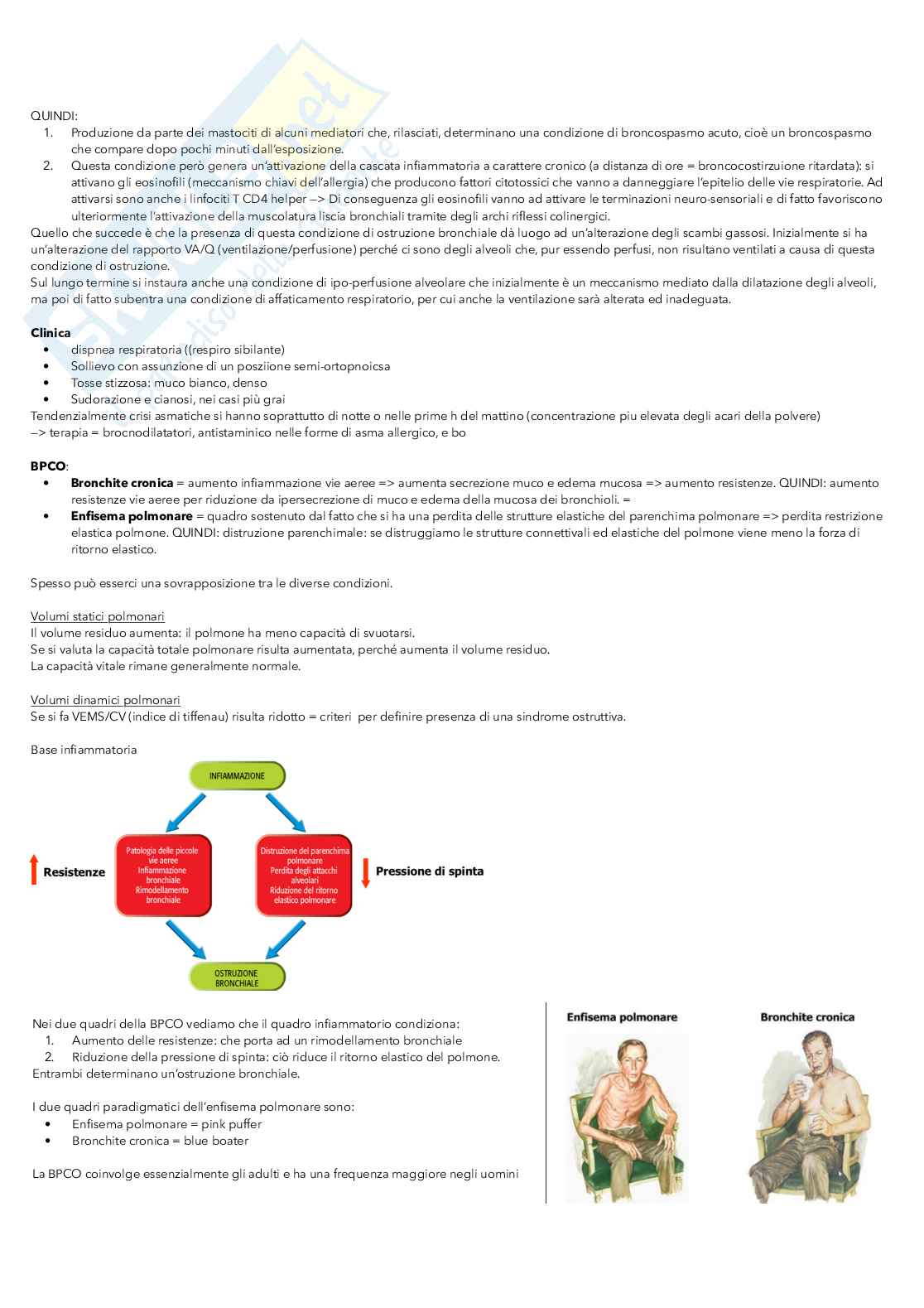 Medicina interna 2 - insufficienza epatica e respiratoria Pag. 26