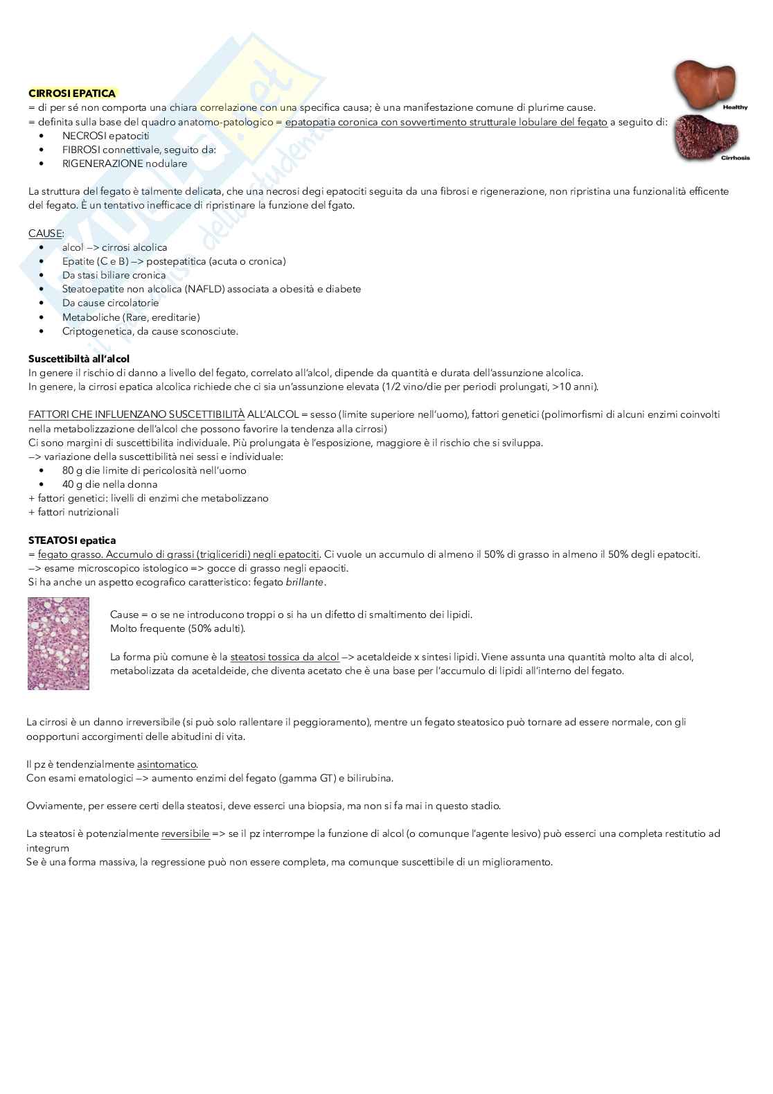 Medicina interna 2 - insufficienza epatica e respiratoria Pag. 6