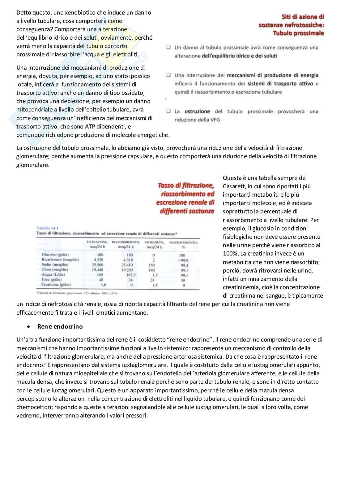 Tossicologia generale e del farmaco - parte 7 Pag. 11