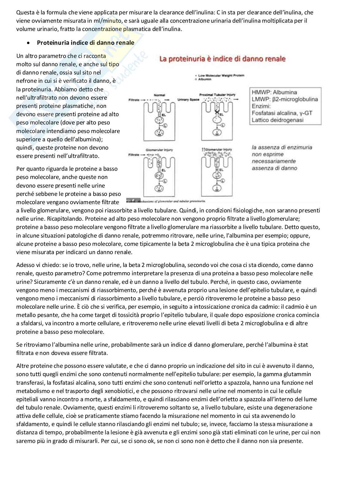 Tossicologia generale e del farmaco - parte 7 Pag. 16