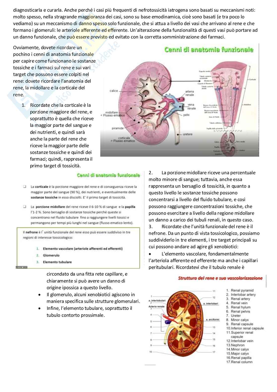 Tossicologia generale e del farmaco - parte 7 Pag. 2