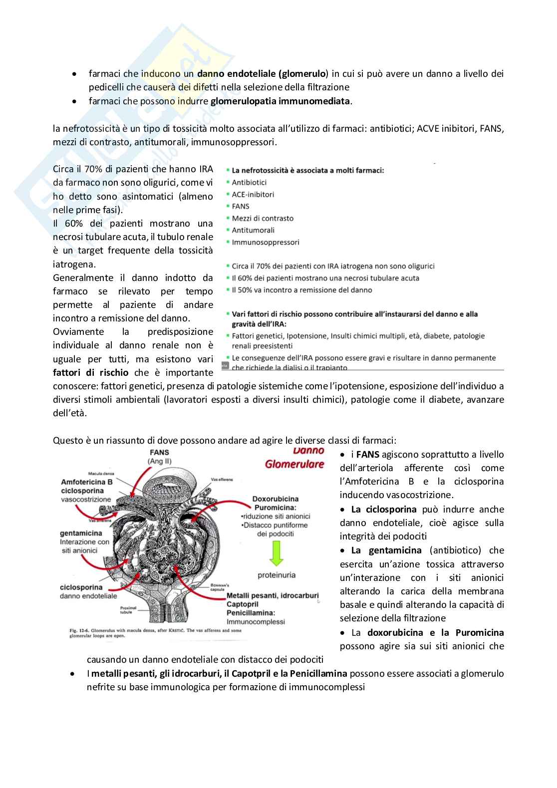 Tossicologia generale e del farmaco - parte 7 Pag. 21