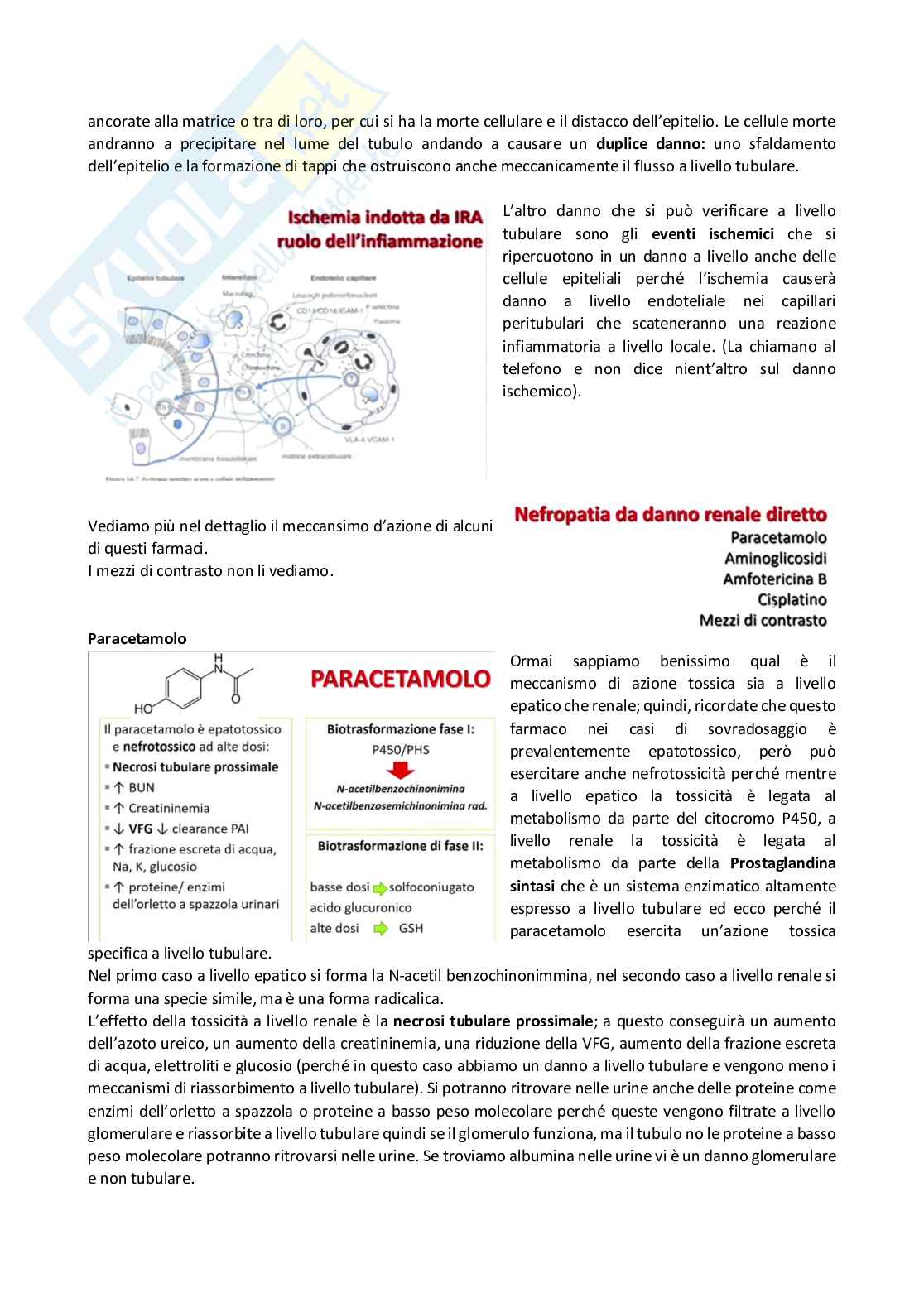 Tossicologia generale e del farmaco - parte 7 Pag. 26