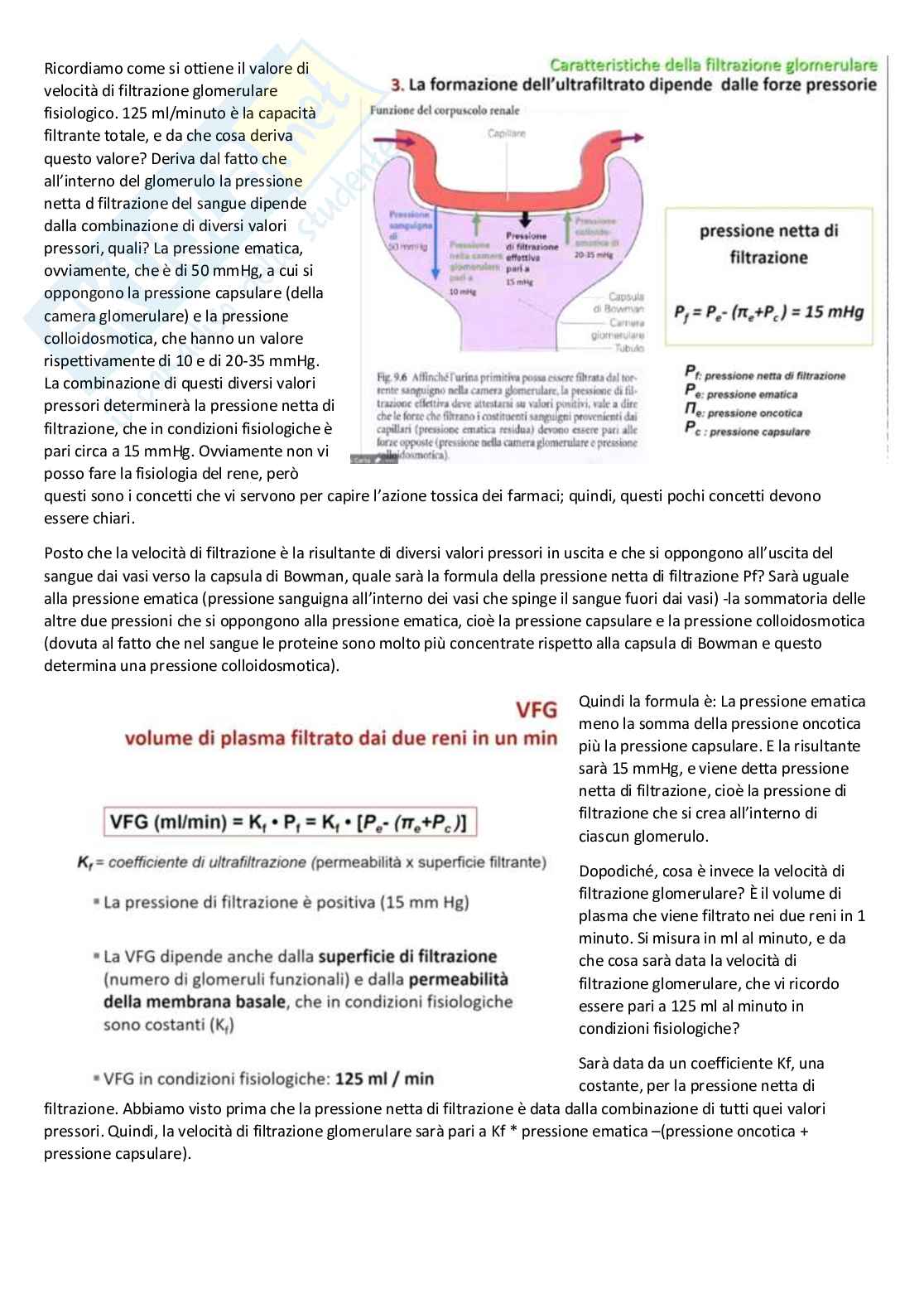 Tossicologia generale e del farmaco - parte 7 Pag. 6