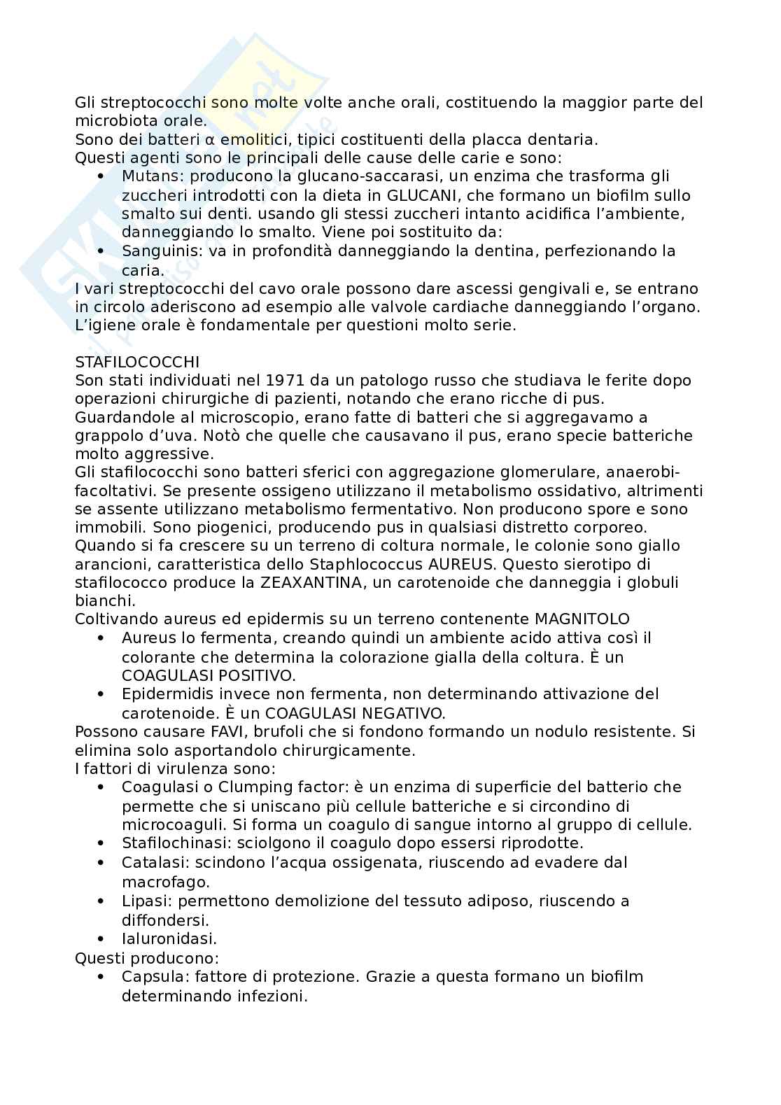 Appunti Microbiologia (completi) Pag. 16