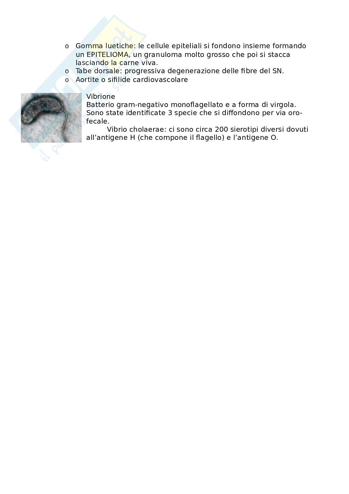 Appunti Microbiologia (completi) Pag. 21
