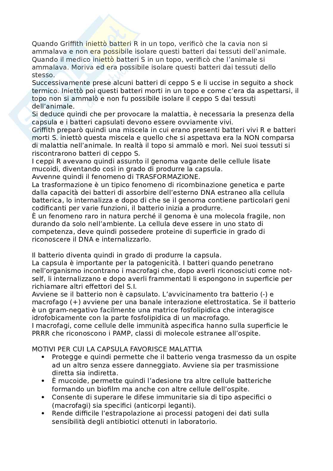 Appunti Microbiologia (completi) Pag. 31