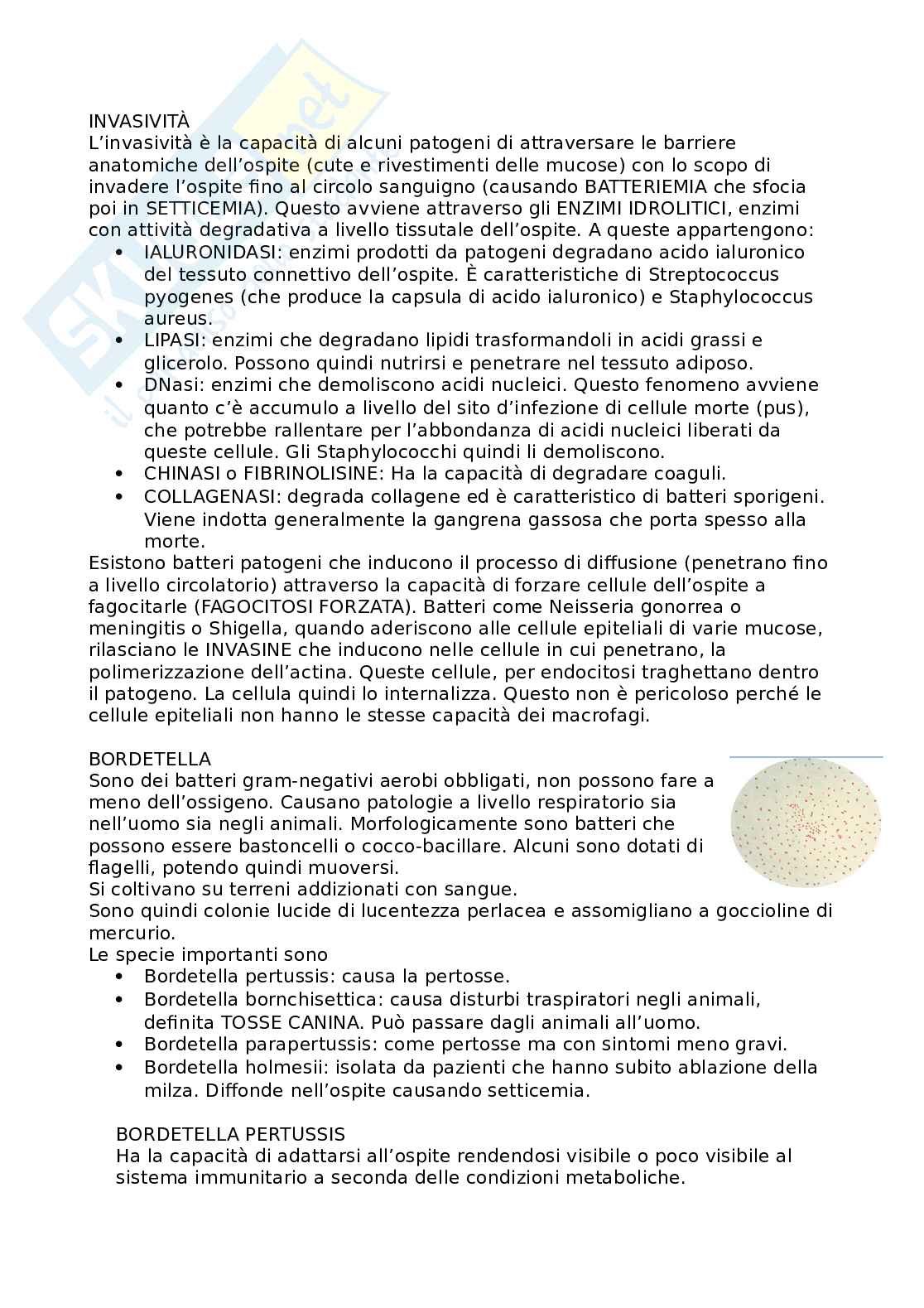 Appunti Microbiologia (completi) Pag. 41