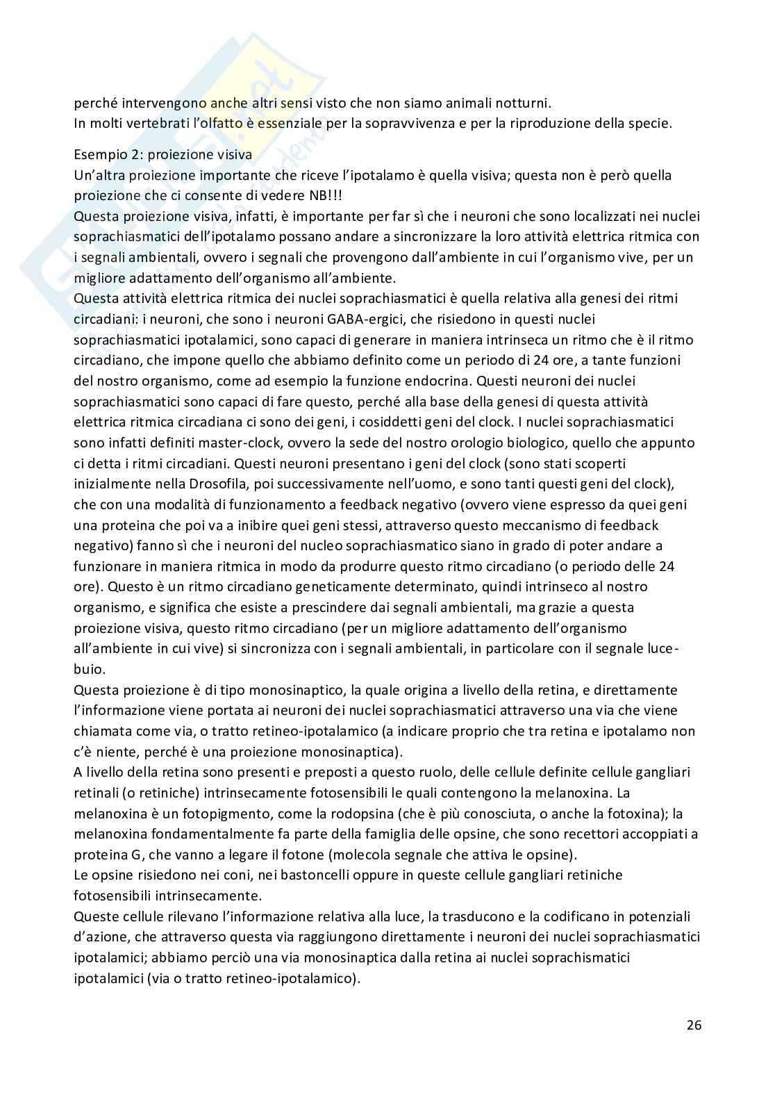 Fisiologia umana Pag. 26