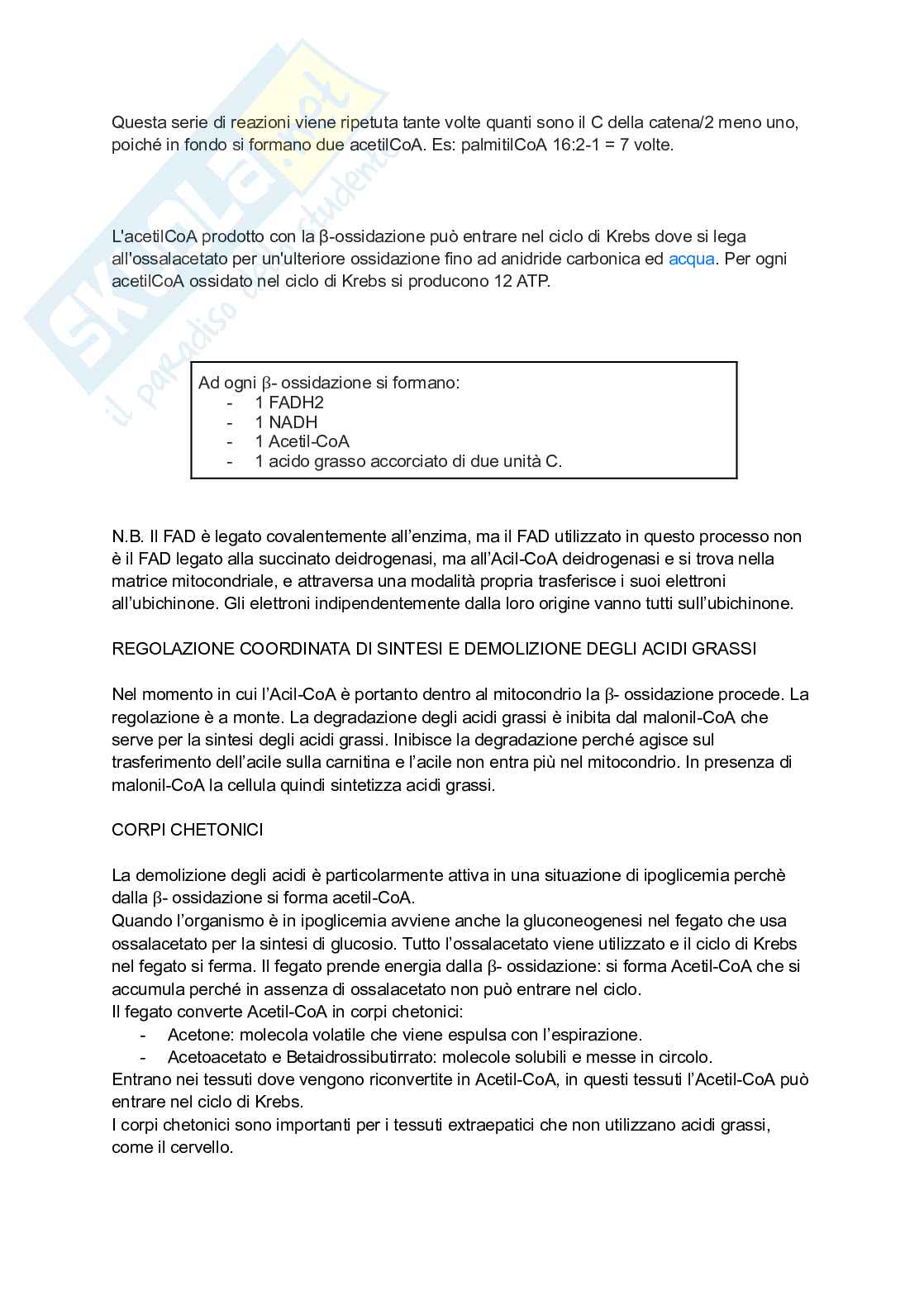 Biochimica Pag. 6