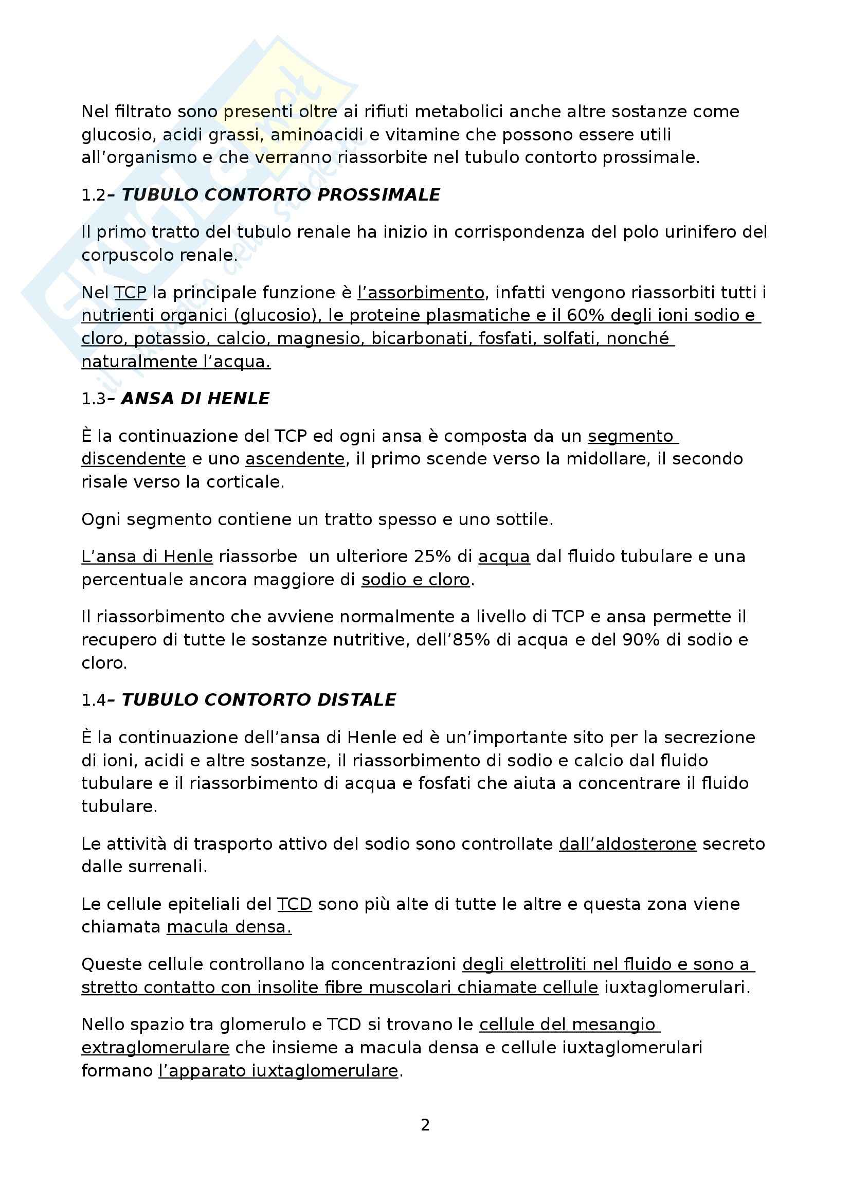 Gastroenterologia - la nefrologia Pag. 2