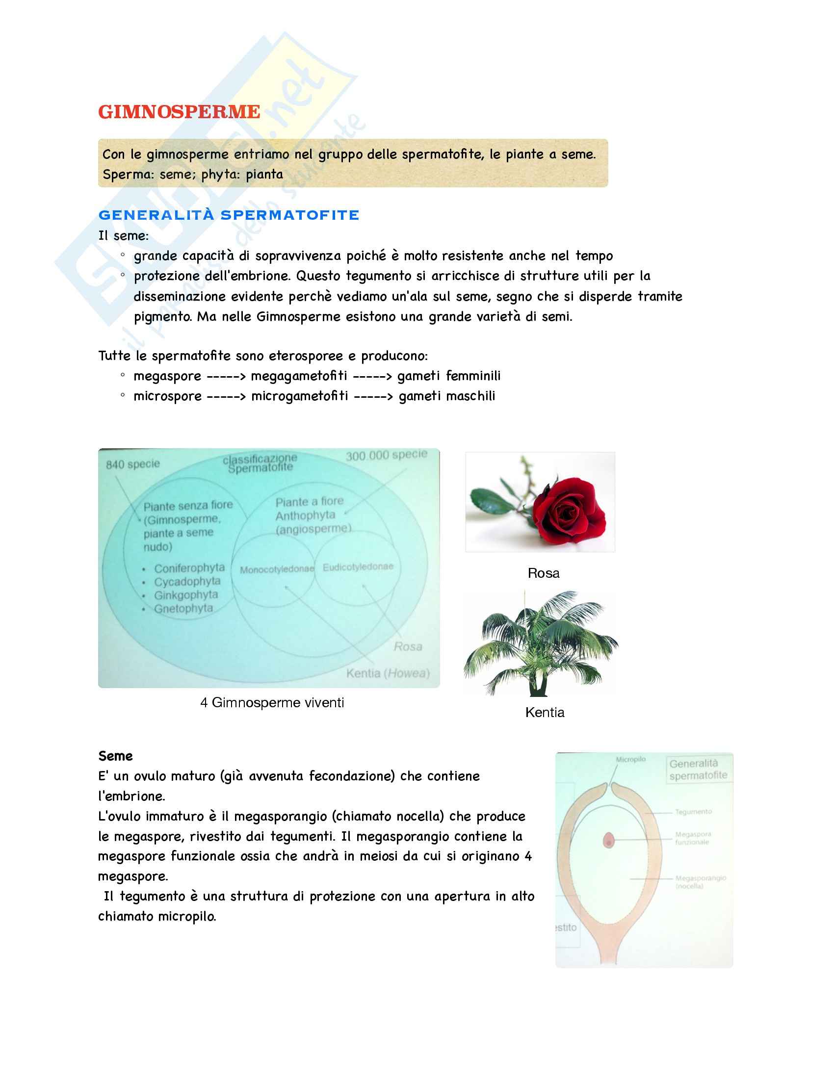Botanica - Appunti parte 2 Pag. 1