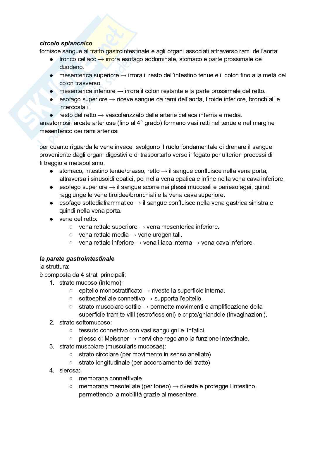 Sistema digerente Pag. 2