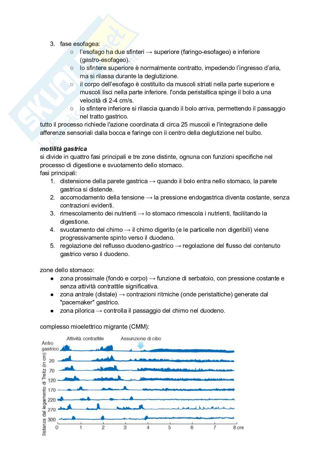 Sistema digerente Pag. 6