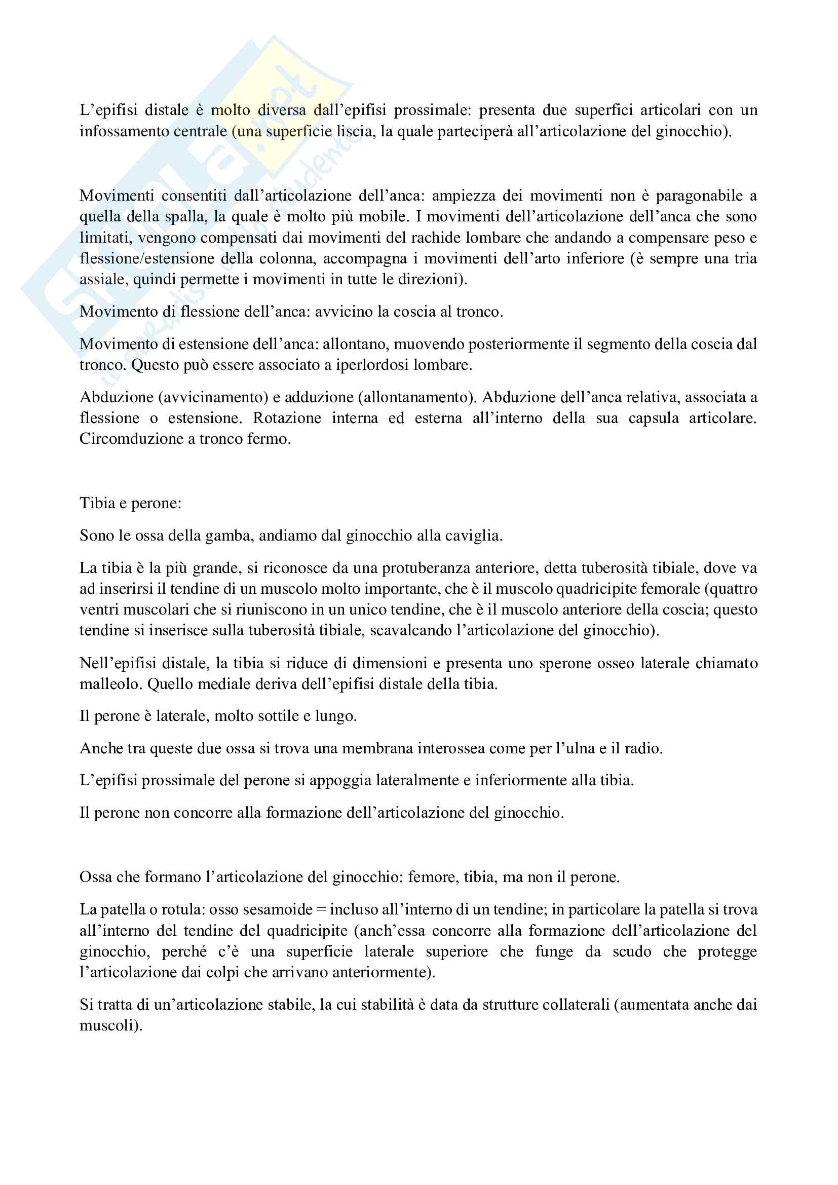 Anatomia umana Pag. 36