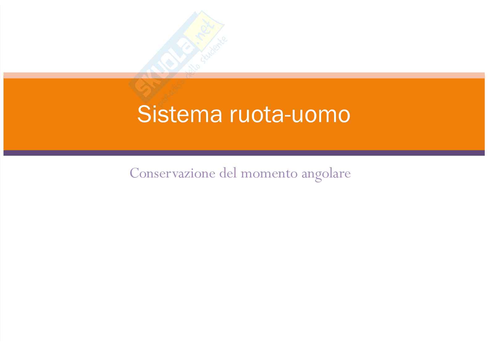 Sistema ruota uomo Pag. 1