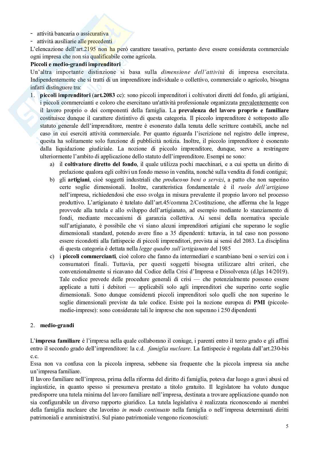 Riassunto esame Diritto commerciale , Prof. Bianca Massimo, libro consigliato Manuale di diritto commerciale, Campobasso Pag. 6