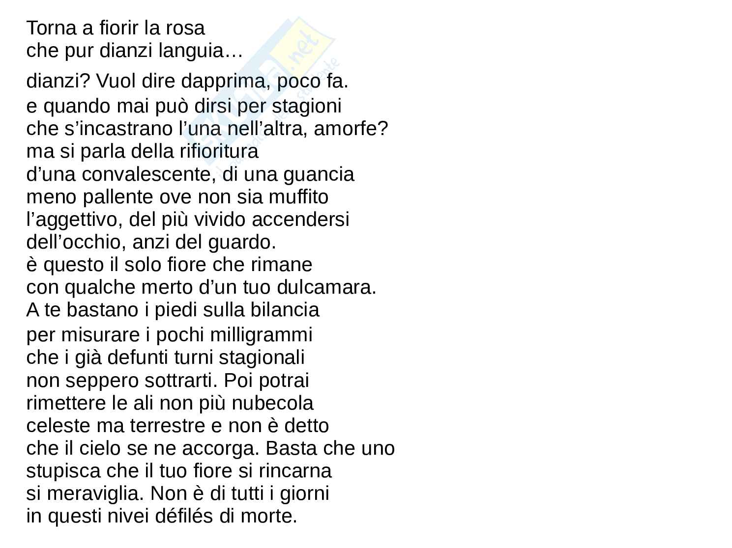 Danza - Tesina (2) Pag. 6