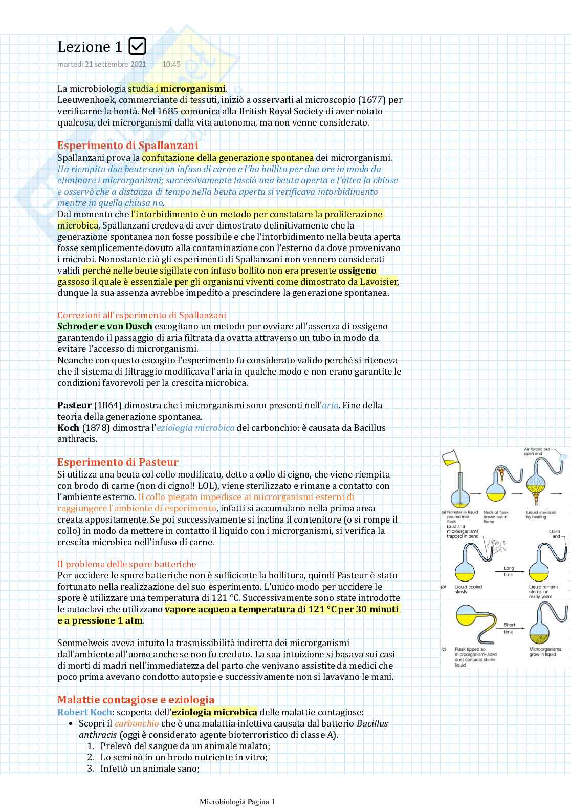 Appunti di Microbiologia Pag. 1