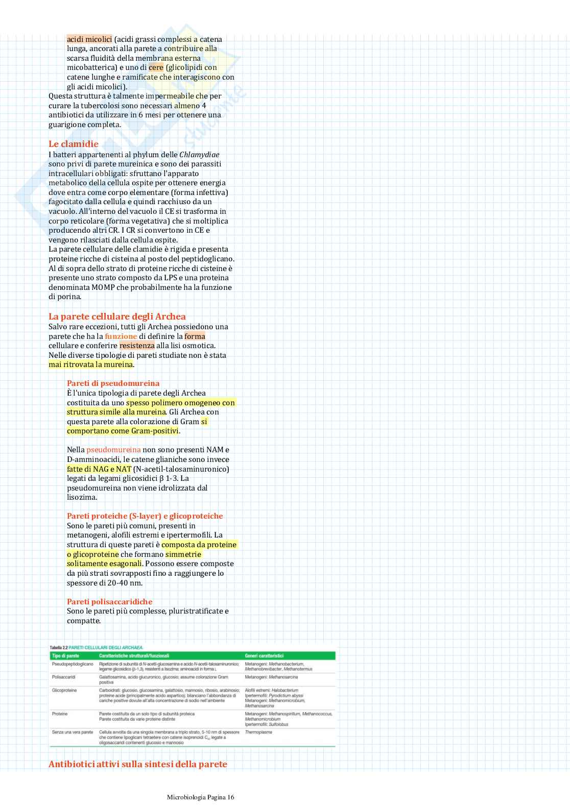 Appunti di Microbiologia Pag. 16
