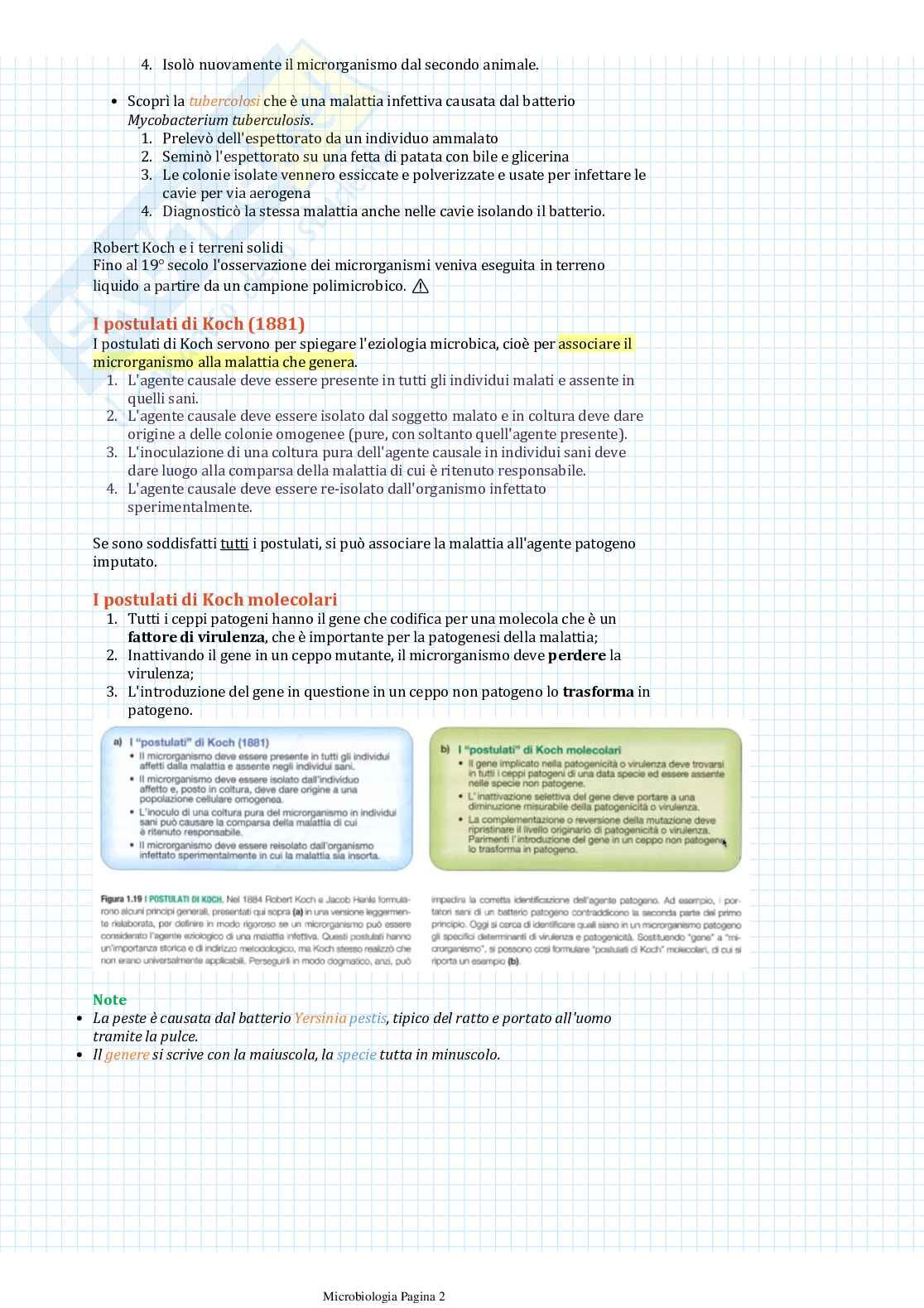 Appunti di Microbiologia Pag. 2